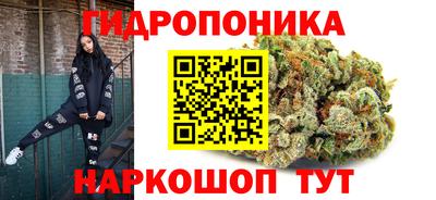 индика Новозыбков
