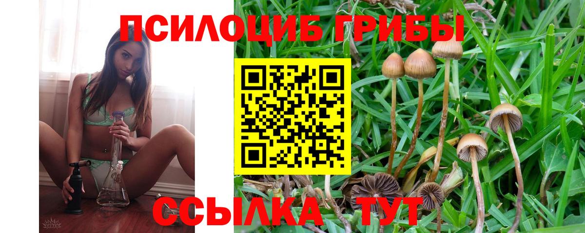 Галлюциногенные грибы прущие грибы  даркнет сайт  Вход с VPN  Урай  Галлюциногенные грибы мухоморы 
